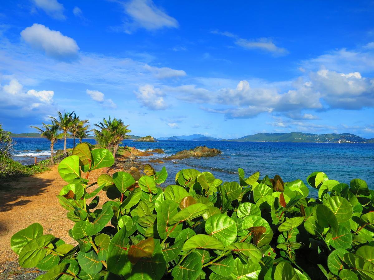 2Br Luxury Beachfront Duplex Villa On Sapphire Beach III East End  Exterior foto